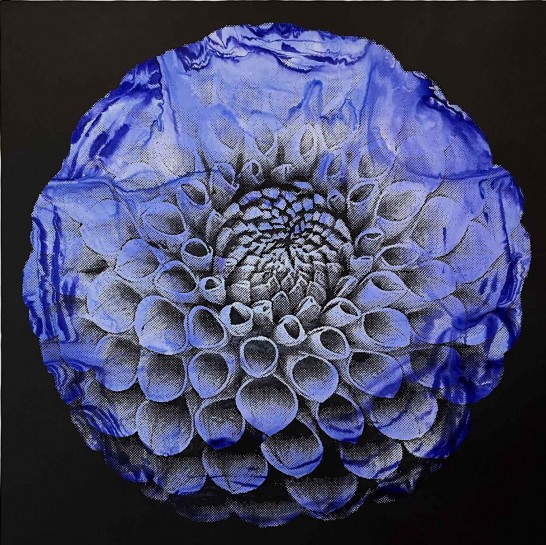 Cosmic Bloom